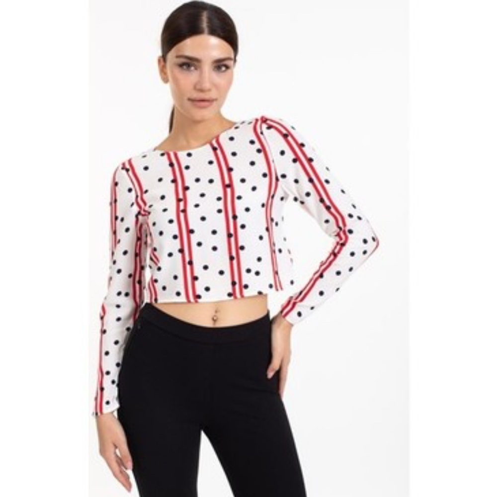 Zara Striped and Polka Dot Crop Top
